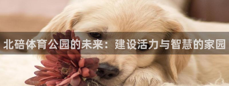中欧法学院：北碚体育公园的未来：建设活力与智慧的家园