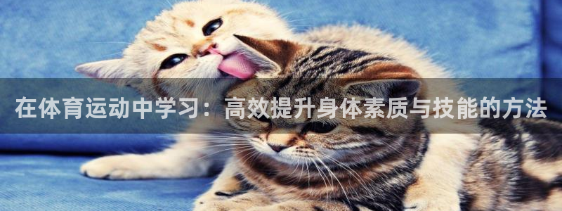 中欧国际工商学院mba学费：在体育运动中学习：高效提升身体素质与技能的方法