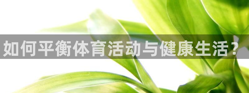 中欧铁路南线最新路线图：如何平衡体育活动与健康生活？