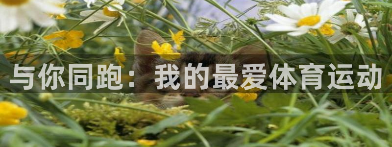 zoty中欧体育全站：与你同跑：我的最爱体育运动