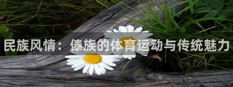 中欧汇率换算：民族风情：傣族的体育运动与传统魅力
