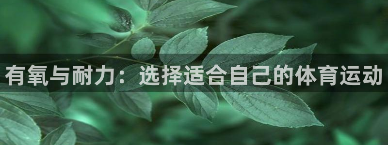 中欧行动领导力：有氧与耐力：选择适合自己的体育运动
