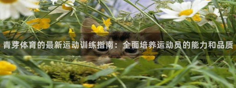 中欧列班路线：青芽体育的最新运动训练指南：全面培养运动员的能力和品质