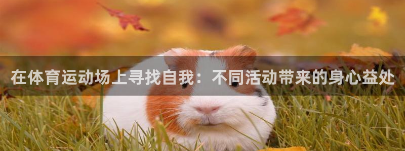 中欧cmo学费：在体育运动场上寻找自我：不同活动带来的身心益处